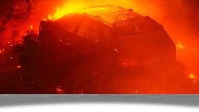 Property Brazilian Film Trailer