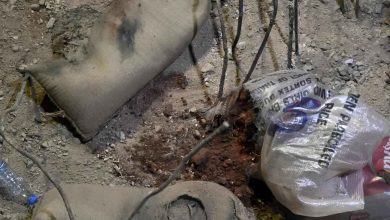 Japanese company Icom says the exploding walkie-talkies were fakes
