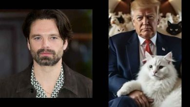 This is what Sebastian Stan looks like as Donald Trump